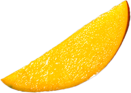 Casa Latina Premium Mango Nectar