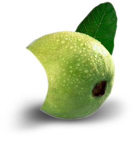 Casa Latina Premium Guava Nectar
